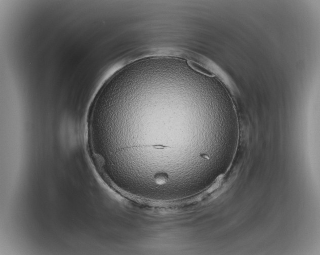 X0000115641095200911171417