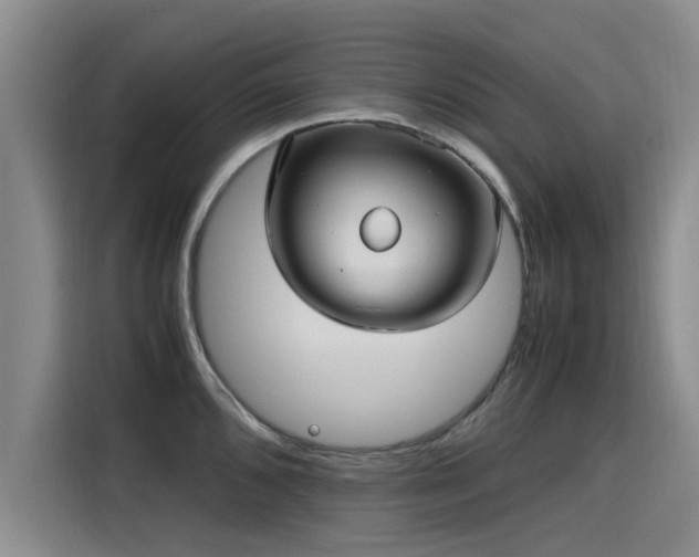 X0000115641096200911171417