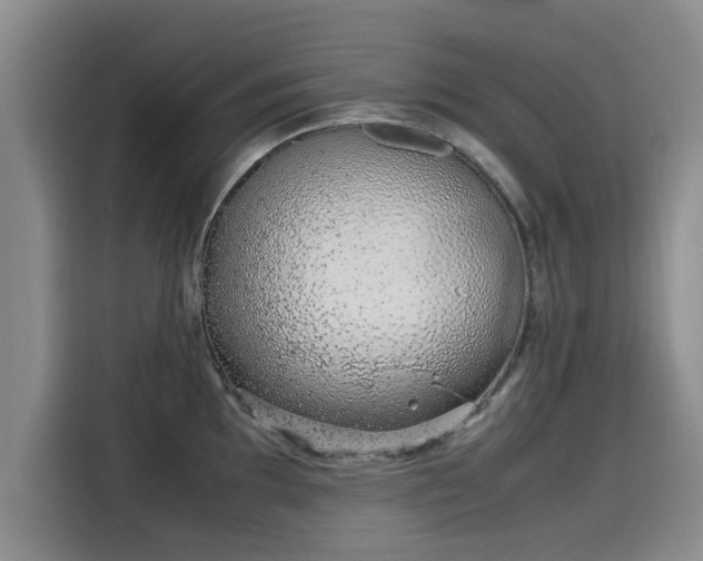 X0000115641097200911171417