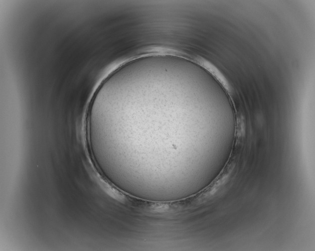 X0000115641098200911171417