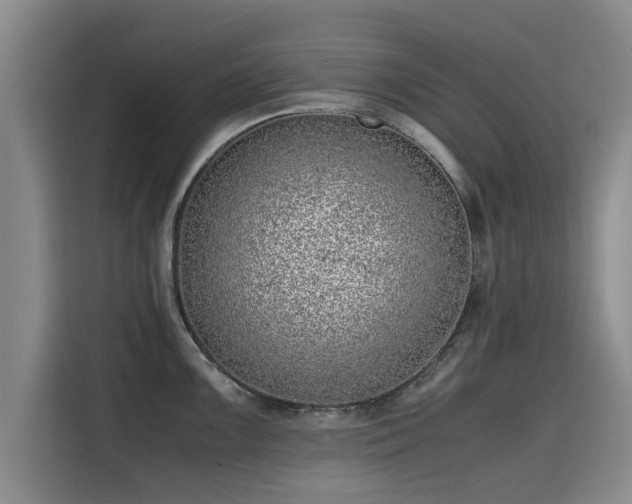 X0000115641099200911171417