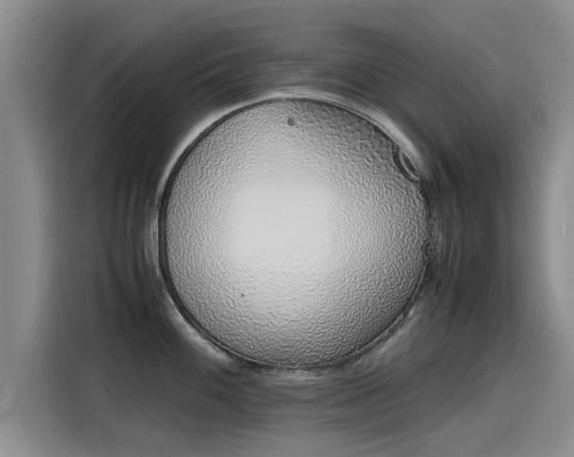 X0000115641100200911171417