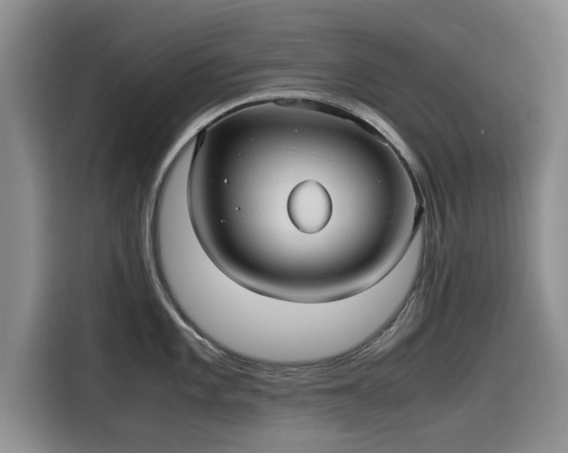 X0000115641101200911171417