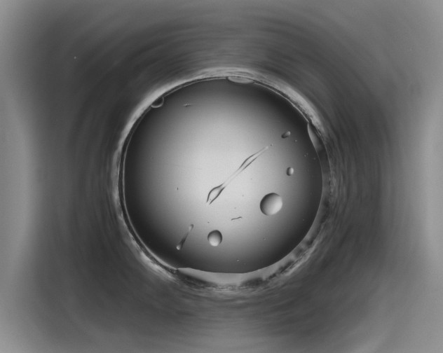 X0000115641102200911171417