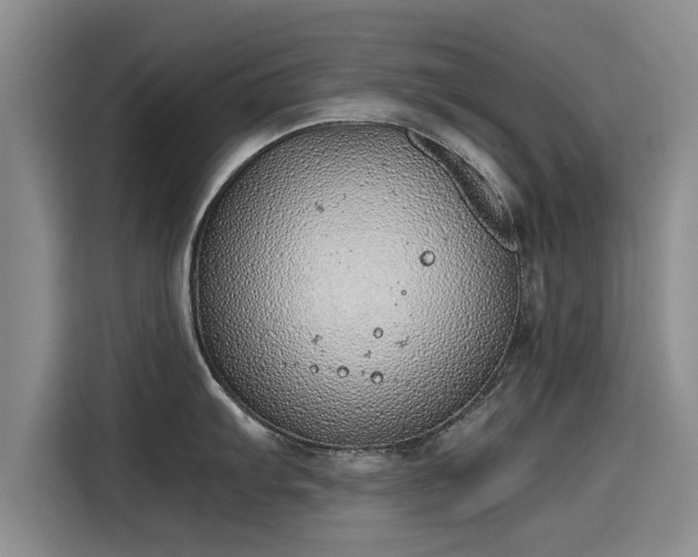 X0000115641103200911171417