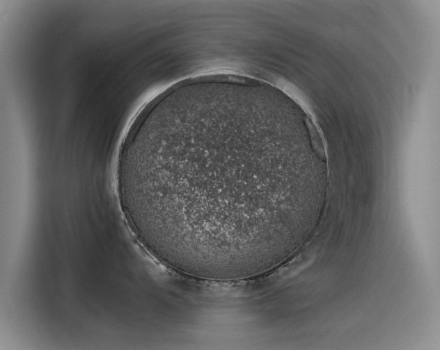 X0000115641104200911171417