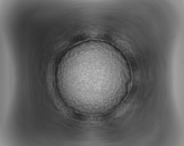 X0000115641105200911171416
