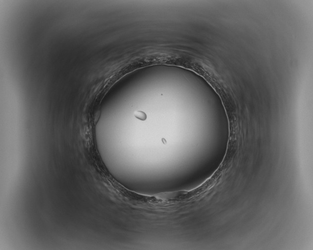 X0000115641109200911171416