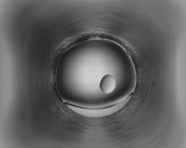 X0000115641110200911171416