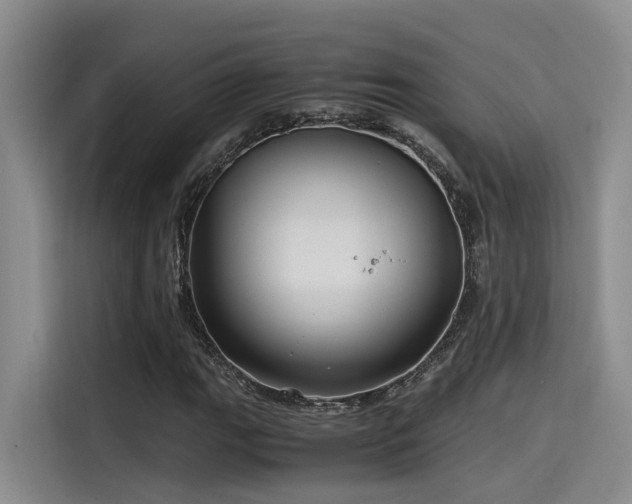 X0000115641111200911171416