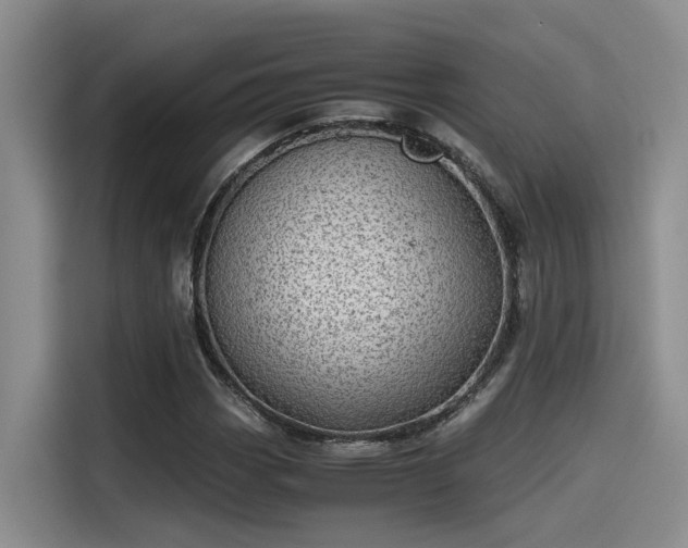 X0000115641113200911171416
