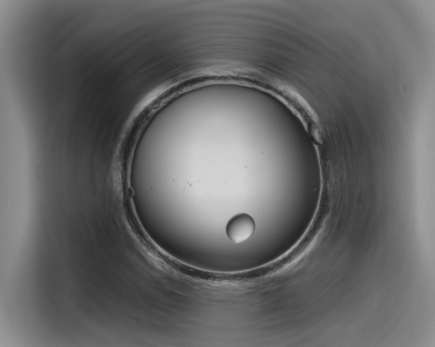 X0000115641114200911171416