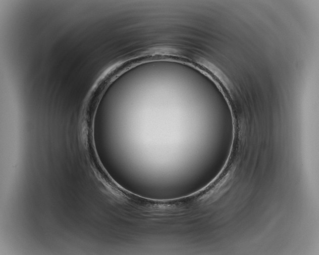 X0000115641115200911171417
