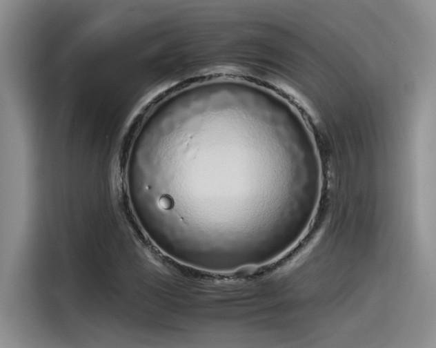 X0000115641117200911171417