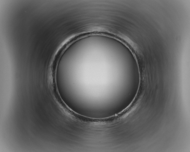 X0000115641118200911171417