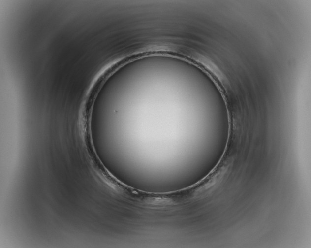 X0000115641119200911171417