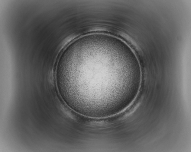 X0000115641121200911171417