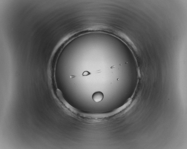 X0000115641122200911171417