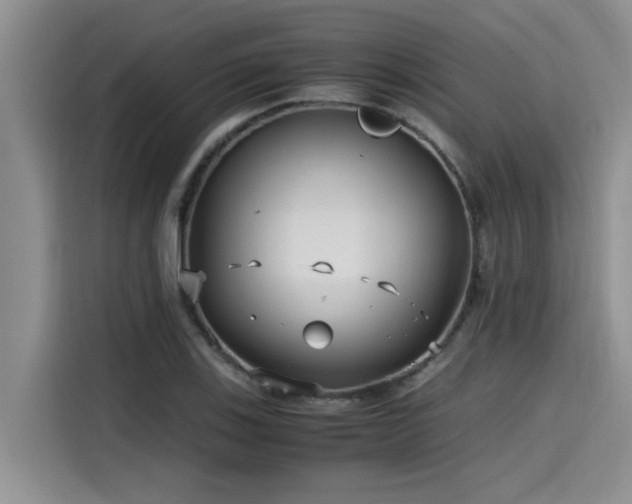 X0000115641123200911171417