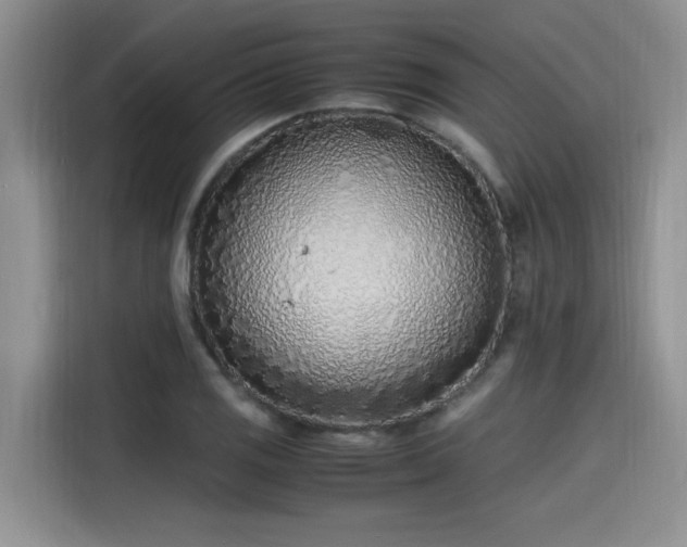 X0000115641125200911171417