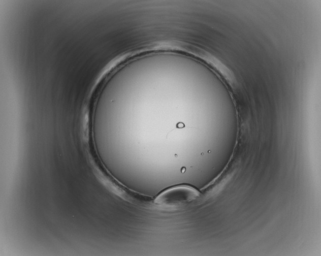 X0000115641126200911171417