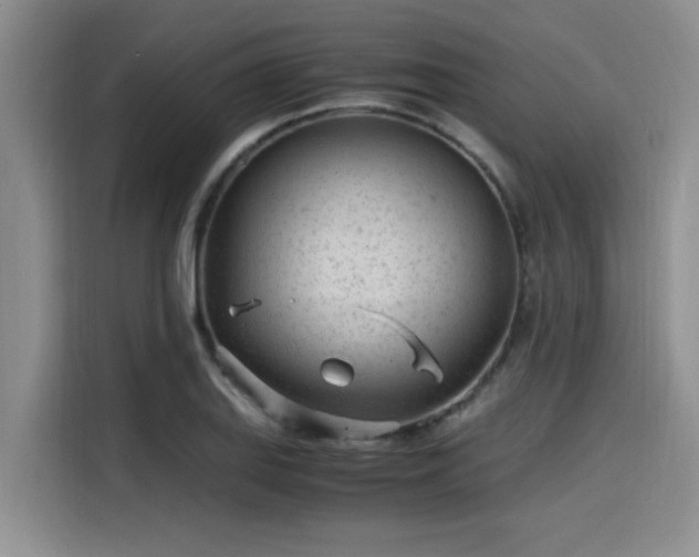 X0000115641127200911171417