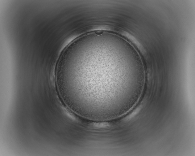 X0000115641129200911171417