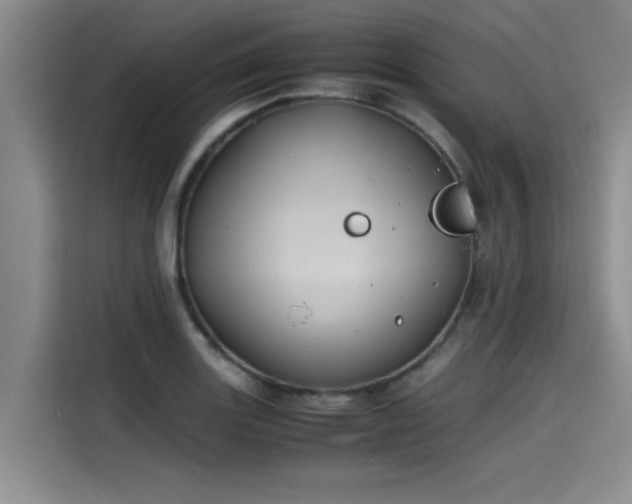 X0000115641131200911171417