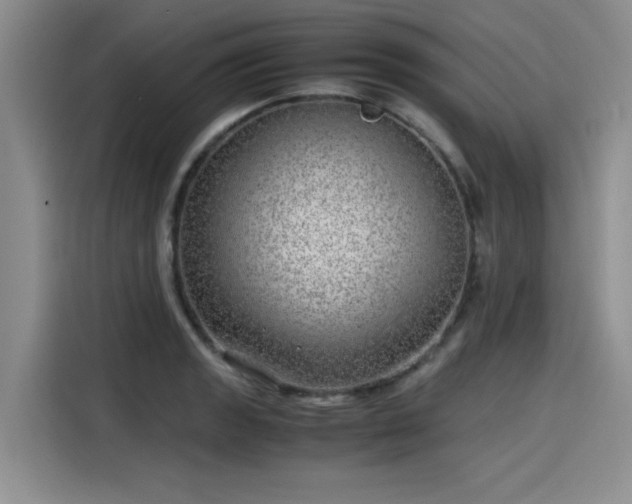 X0000115641133200911171417