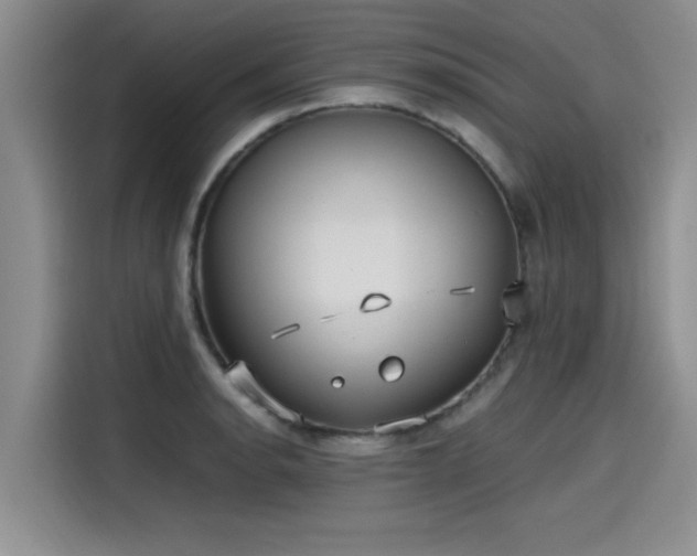 X0000115641134200911171417