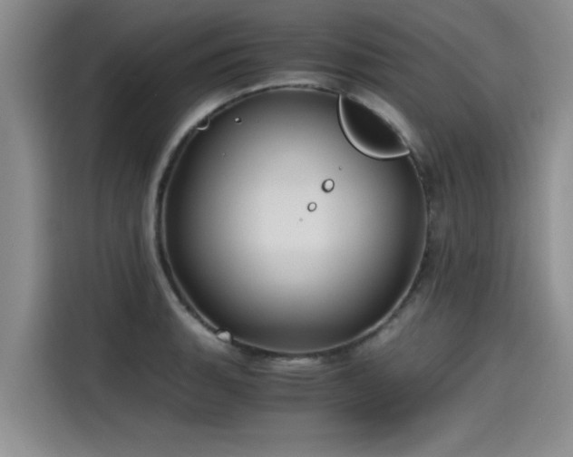 X0000115641135200911171417