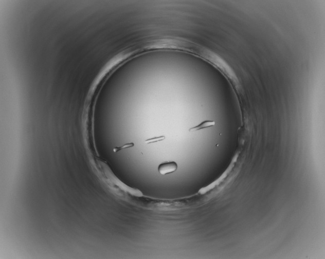 X0000115641138200911171417