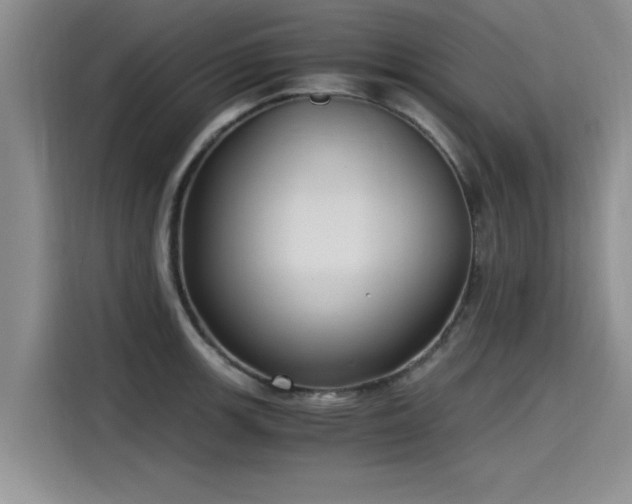 X0000115641139200911171417