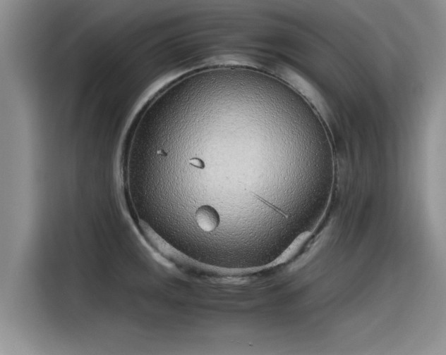 X0000115641141200911171417