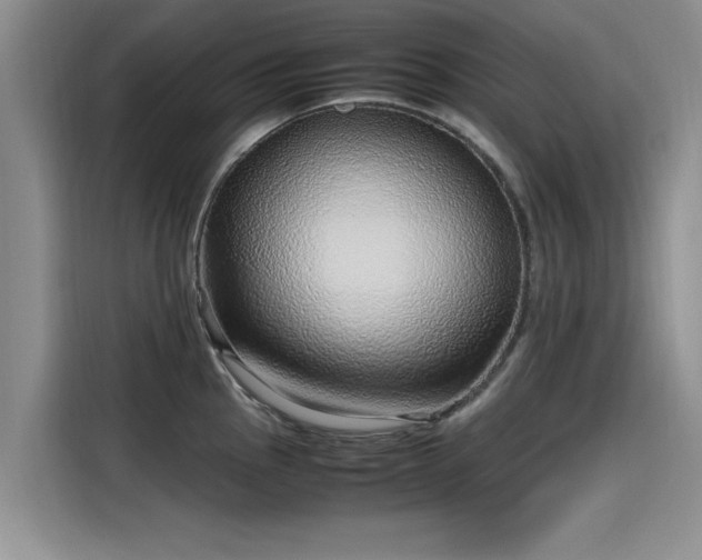 X0000115641145200911171417