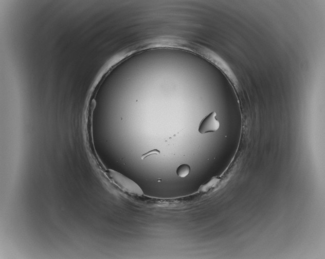 X0000115641146200911171417