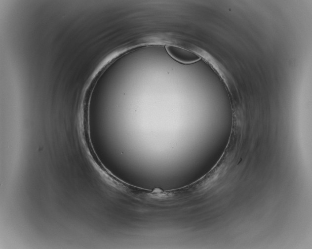 X0000115641147200911171417