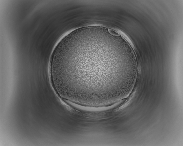 X0000115641149200911171417