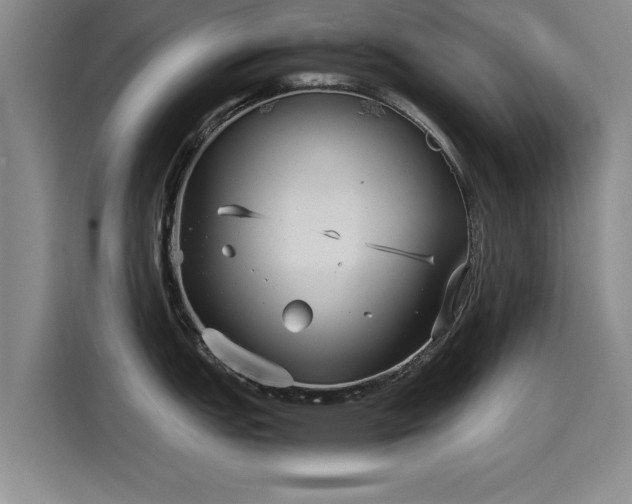 X0000115641151200911171417