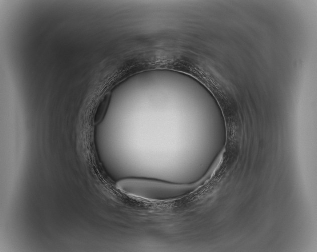 X0000115641153200911171416