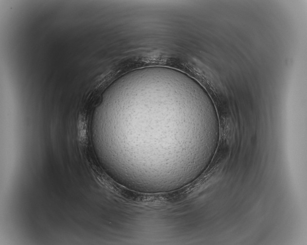 X0000115641154200911171416