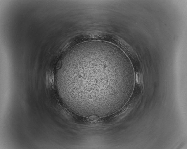 X0000115641155200911171416
