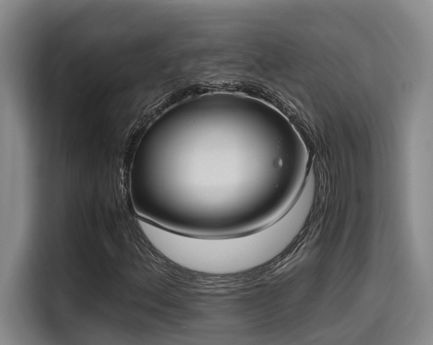 X0000115641156200911171416