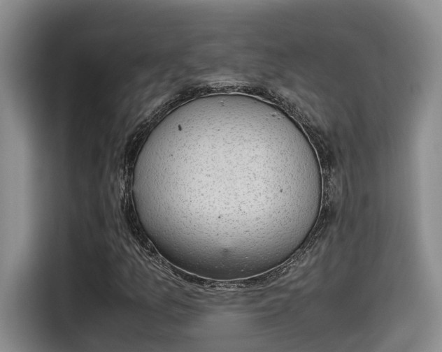 X0000115641157200911171416