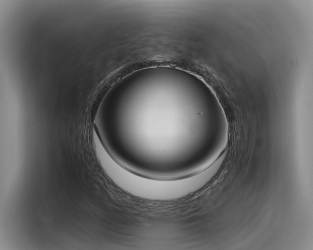 X0000115641158200911171416