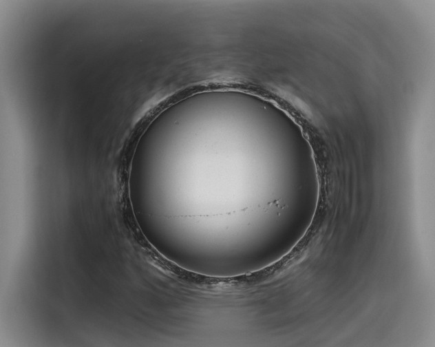 X0000115641160200911171416