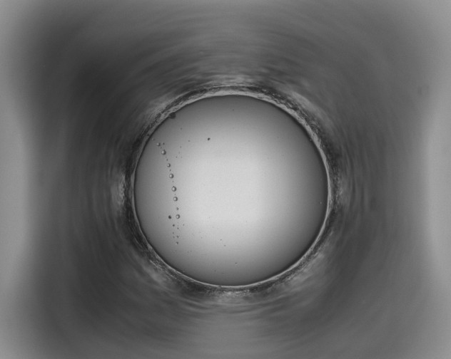 X0000115641161200911171416