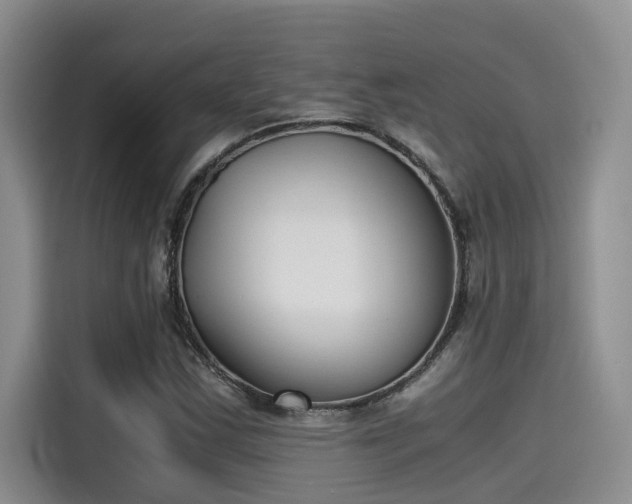 X0000115641163200911171416