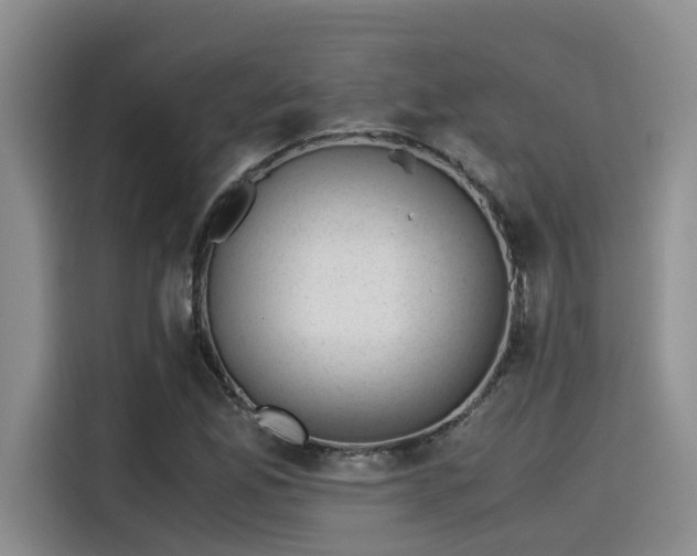 X0000115641165200911171416
