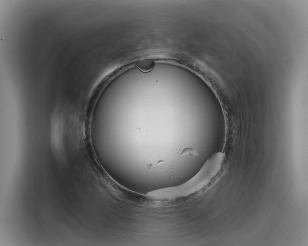 X0000115641166200911171416
